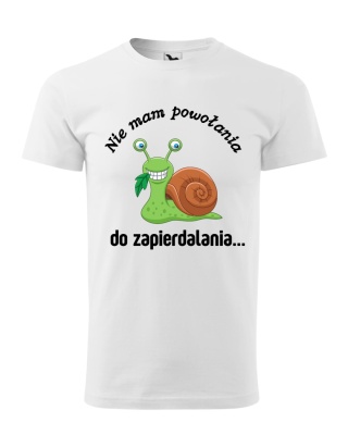 Nie mam powołania do zapier**alania
