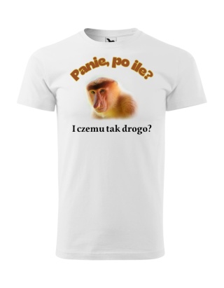 Panie po ile? I czemu tak drogo - nosacz