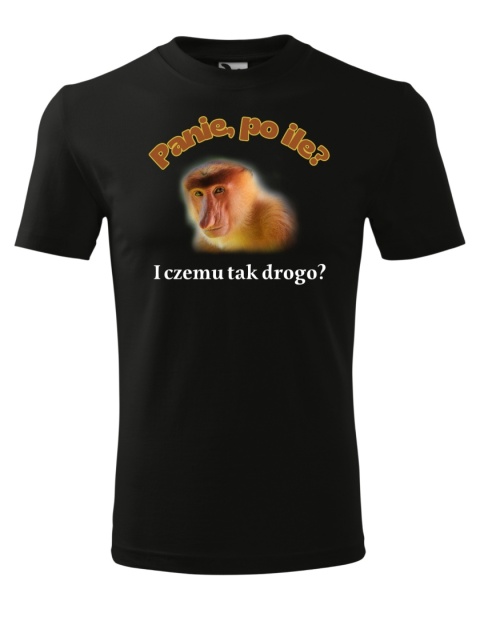 Panie po ile? I czemu tak drogo - nosacz