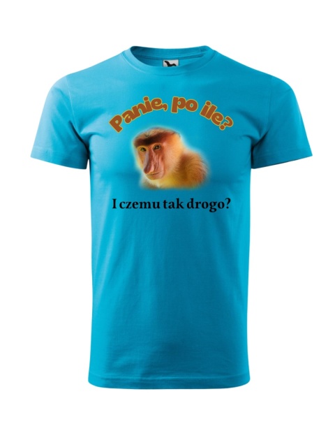 Panie po ile? I czemu tak drogo - nosacz