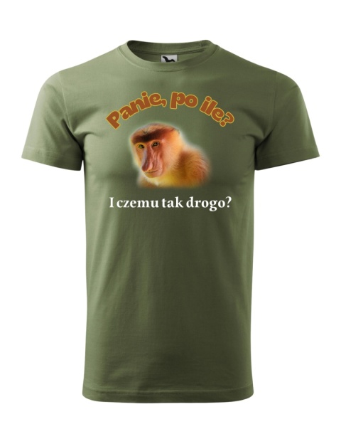 Panie po ile? I czemu tak drogo - nosacz